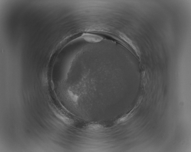 X0000074040203200608211527