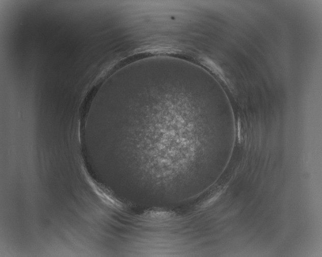 X0000074040205200608211527