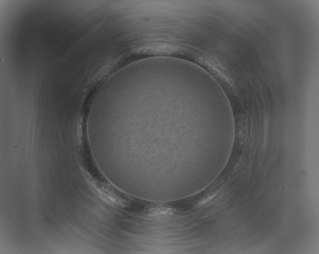 X0000074040206200608211527