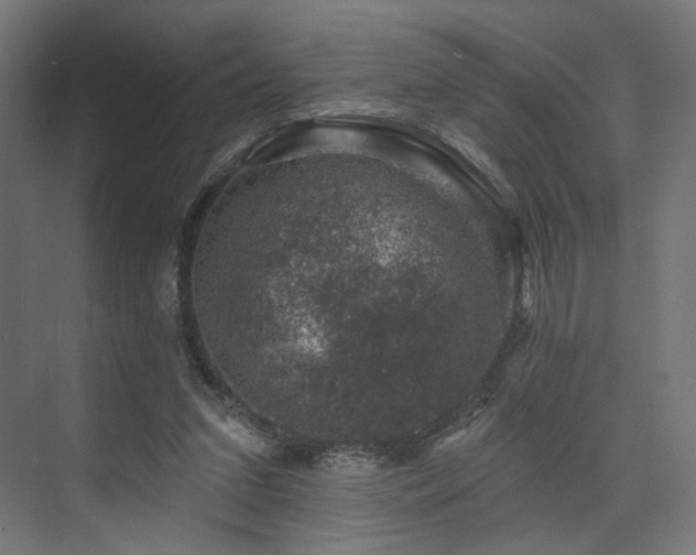 X0000074040207200608211527