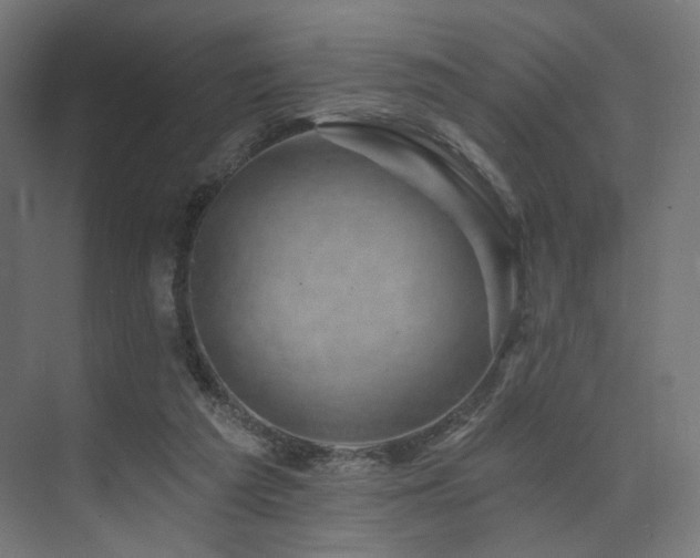 X0000074040209200608211527