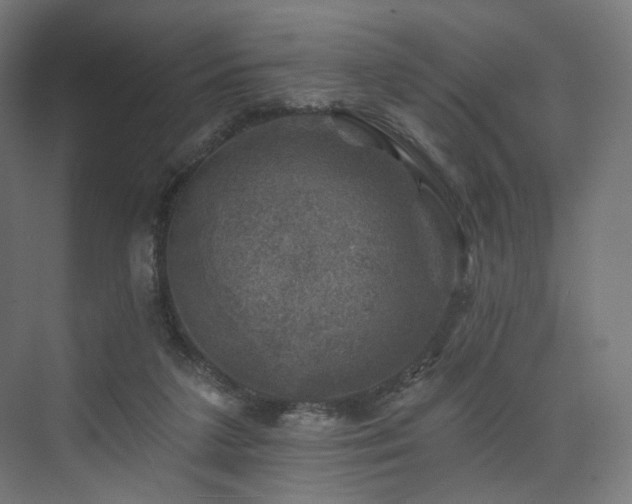 X0000074040211200608211527