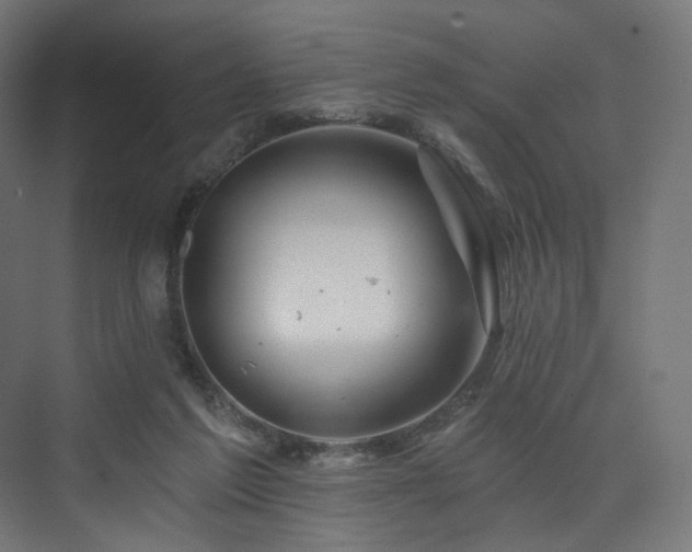 X0000074040213200608211527