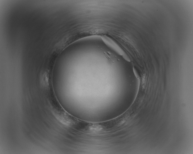 X0000074040214200608211527