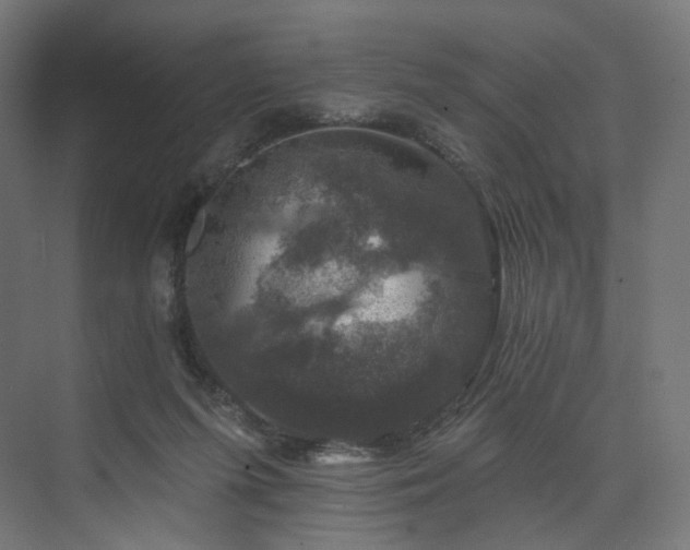 X0000074040215200608211527