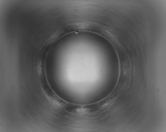 X0000074040216200608211527