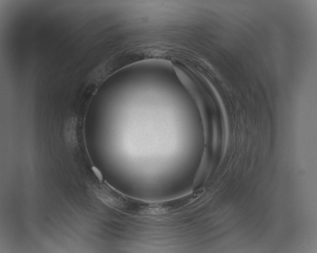 X0000074040217200608211527