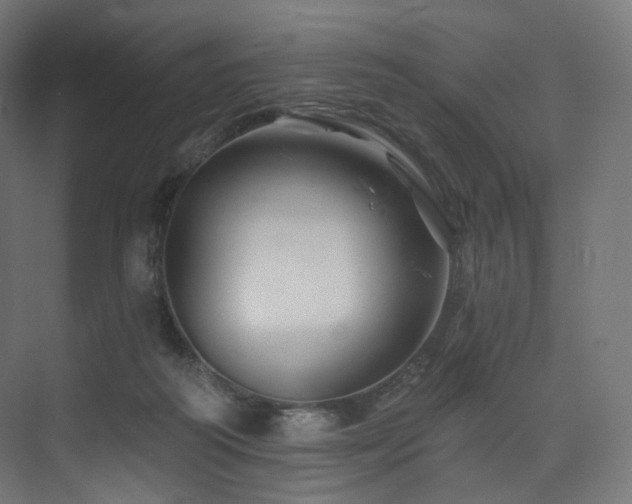 X0000074040218200608211527