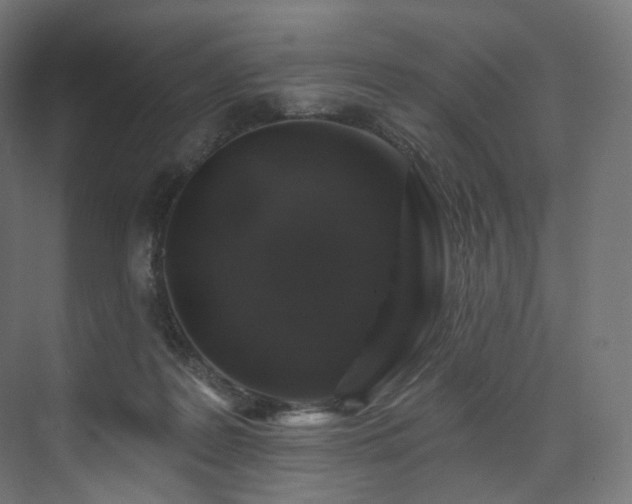 X0000074040219200608211527