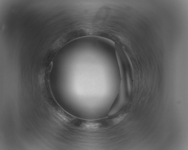 X0000074040221200608211527