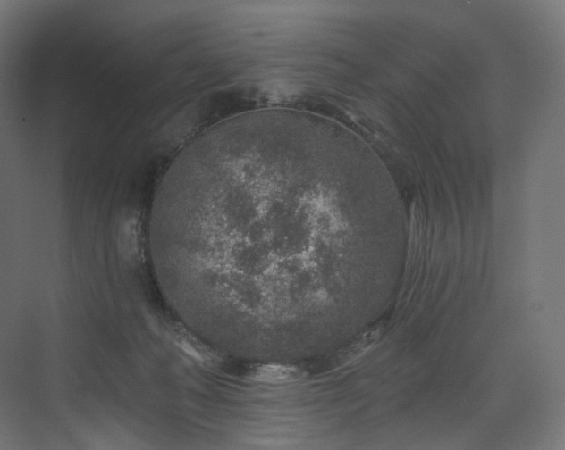 X0000074040222200608211527