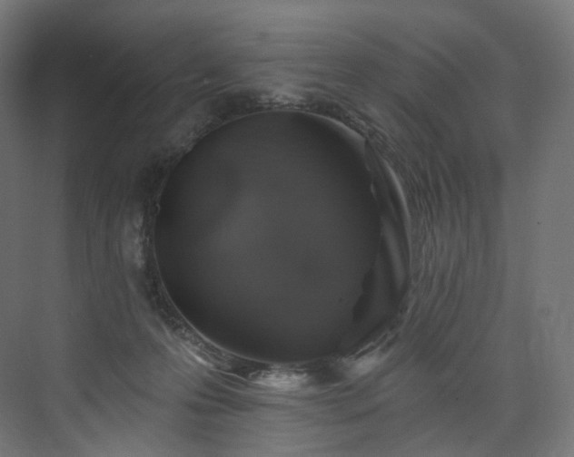 X0000074040223200608211527