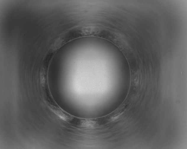 X0000074040226200608211527