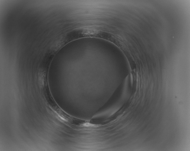 X0000074040227200608211527