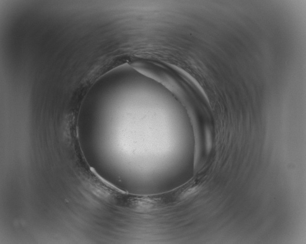 X0000074040229200608211527