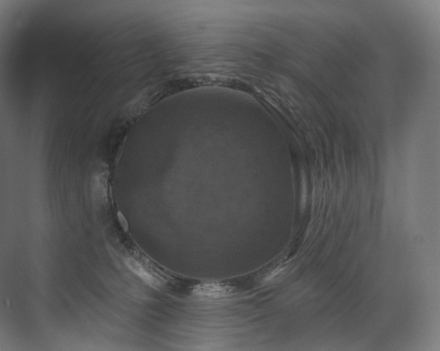 X0000074040231200608211527