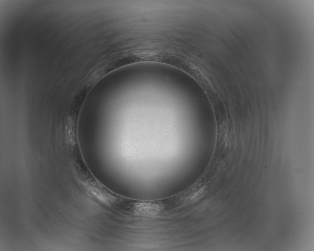 X0000074040234200608211527