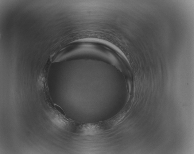 X0000074040235200608211527