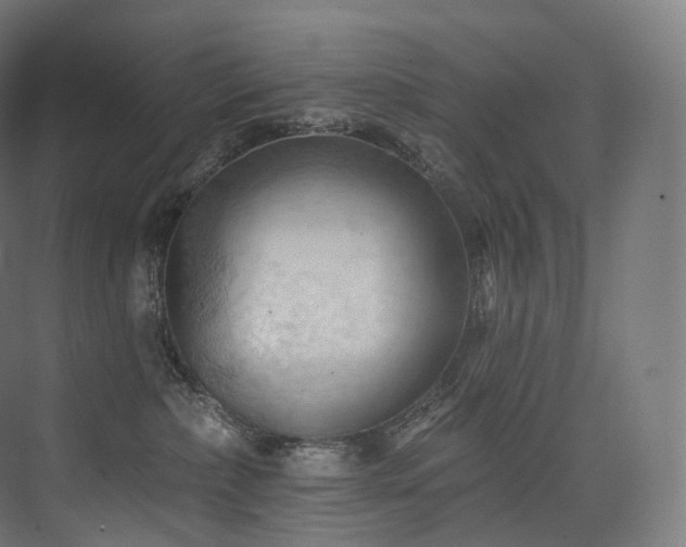 X0000074040236200608211527