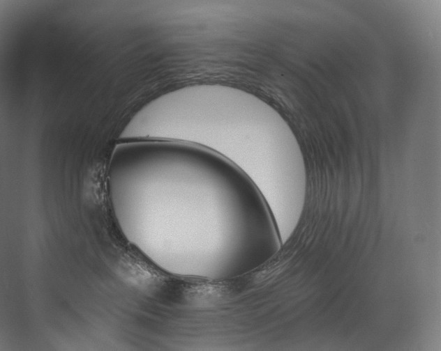 X0000074040237200608211527