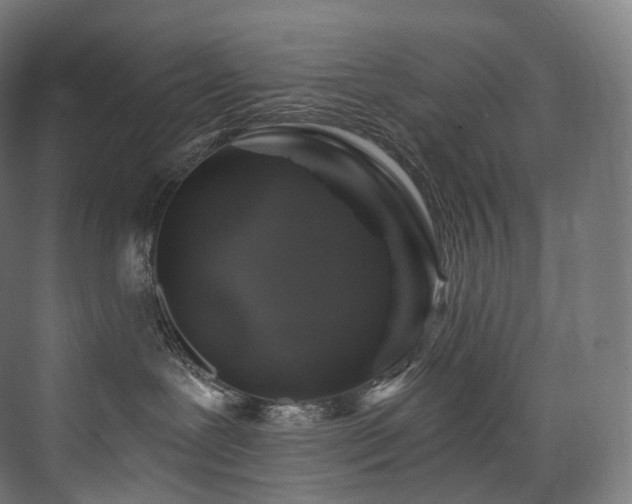 X0000074040239200608211526