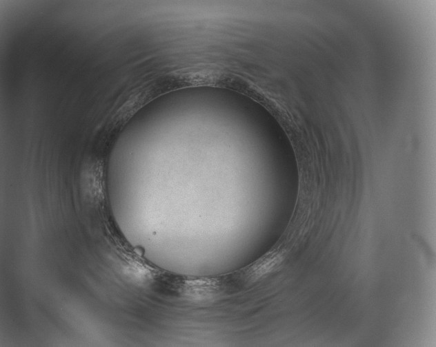 X0000074040240200608211526