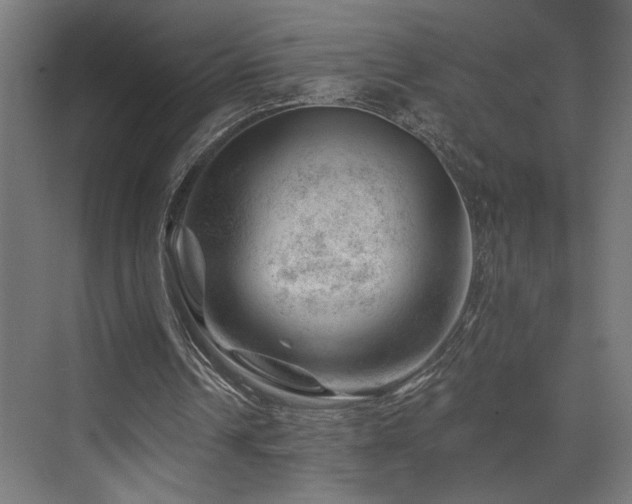 X0000074040242200608211526