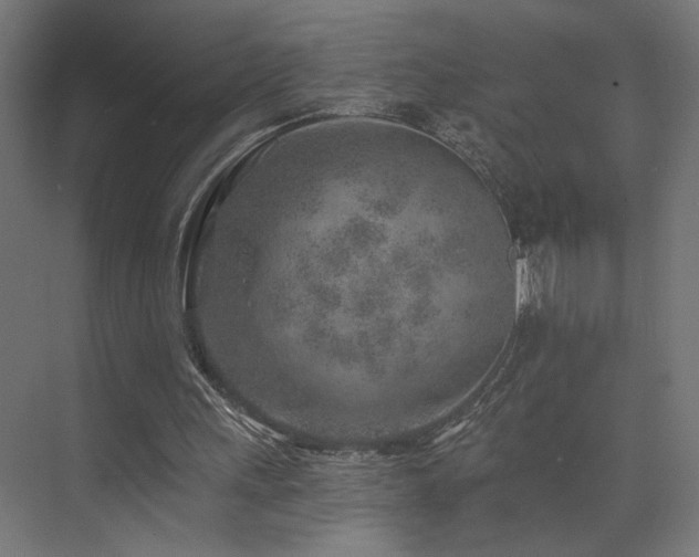 X0000074040243200608211526