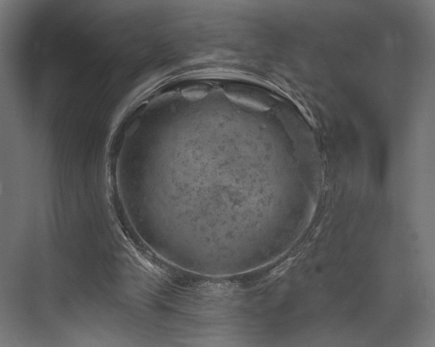 X0000074040245200608211526