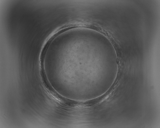 X0000074040246200608211526