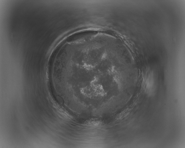 X0000074040247200608211526