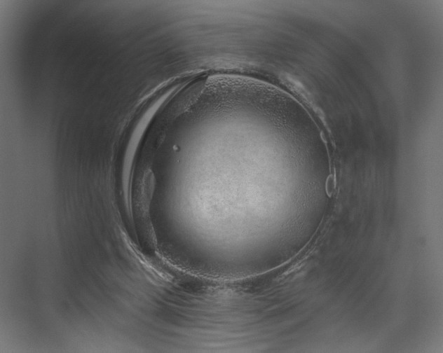 X0000074040249200608211526