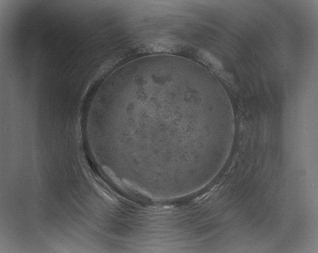 X0000074040250200608211526