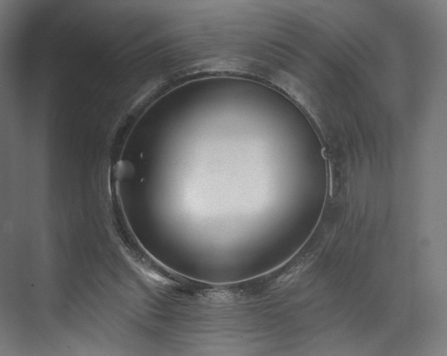 X0000074040253200608211526