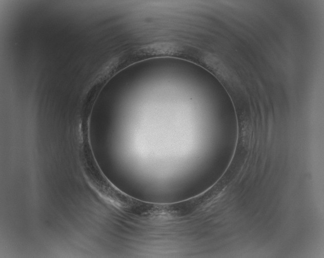 X0000074040254200608211526