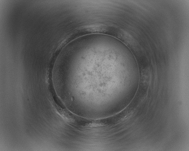 X0000074040255200608211526