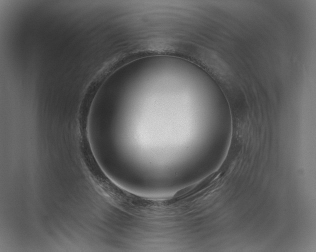 X0000074040256200608211526