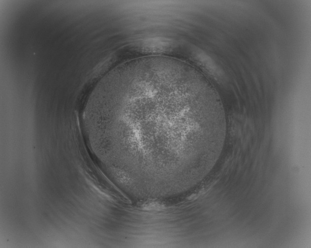 X0000074040258200608211526