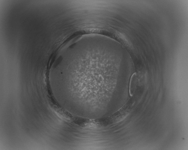 X0000074040259200608211526