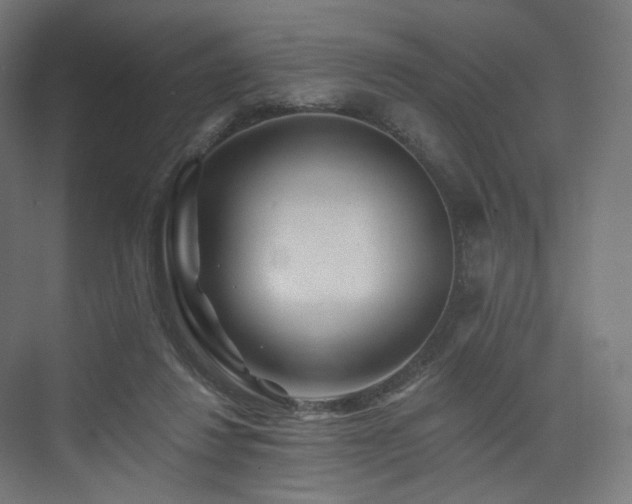 X0000074040260200608211526