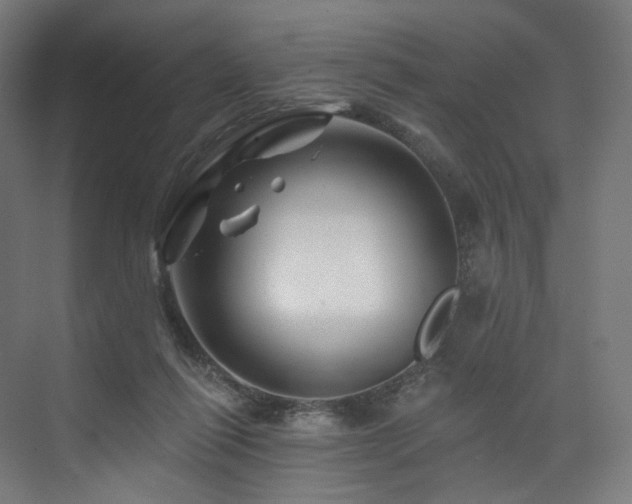 X0000074040262200608211526