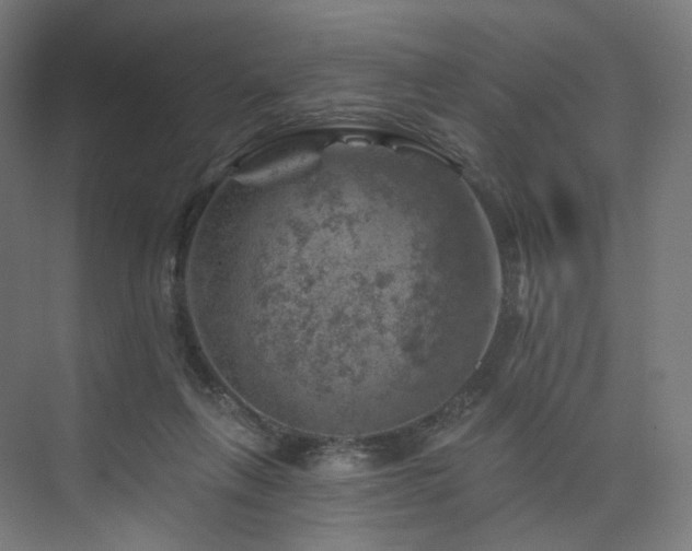 X0000074040263200608211526