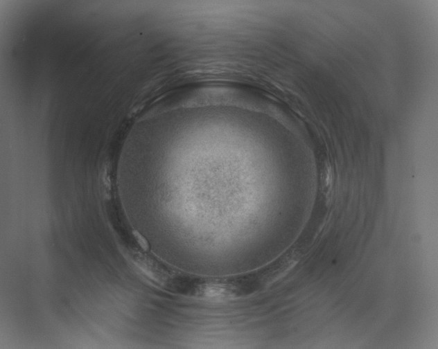 X0000074040264200608211526