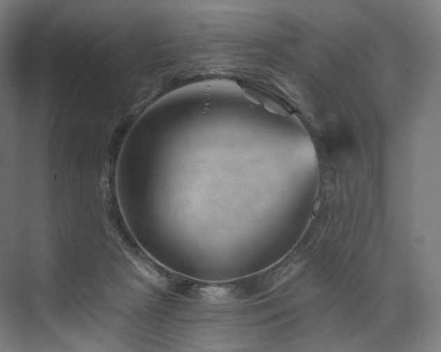 X0000074040265200608211526