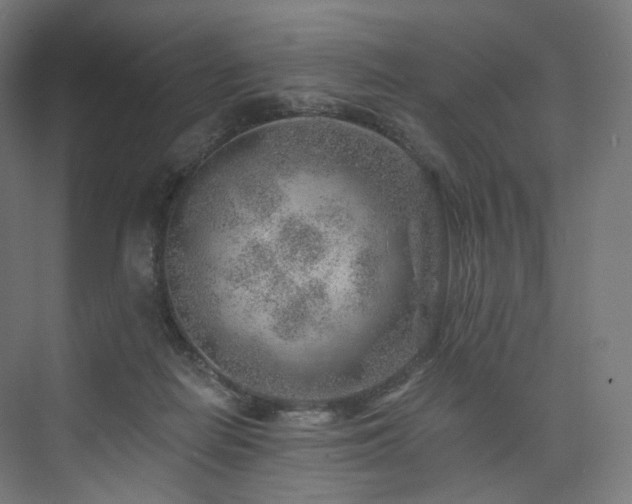 X0000074040266200608211526