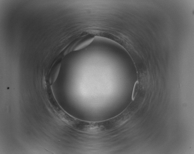 X0000074040267200608211526