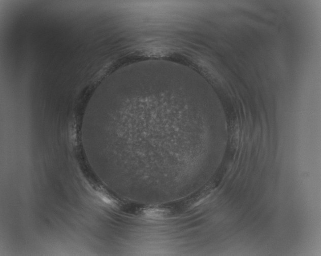 X0000074040268200608211526