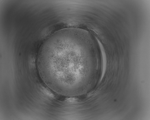 X0000074040269200608211526