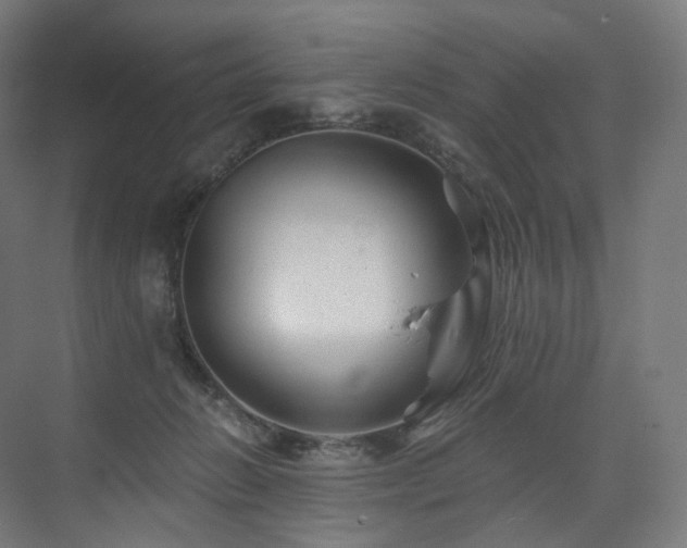 X0000074040270200608211526