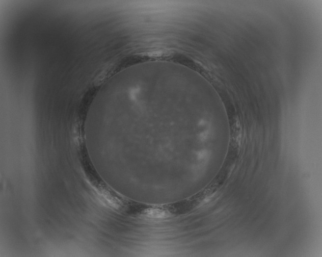 X0000074040272200608211526